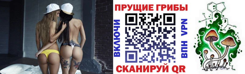 где найти наркотики  Долинск  Псилоцибиновые грибы MAGIC MUSHROOMS 
