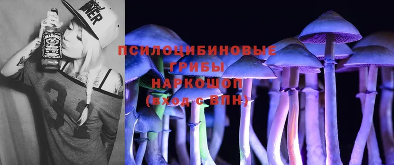 Псилоцибиновые грибы Magic Shrooms  Долинск 